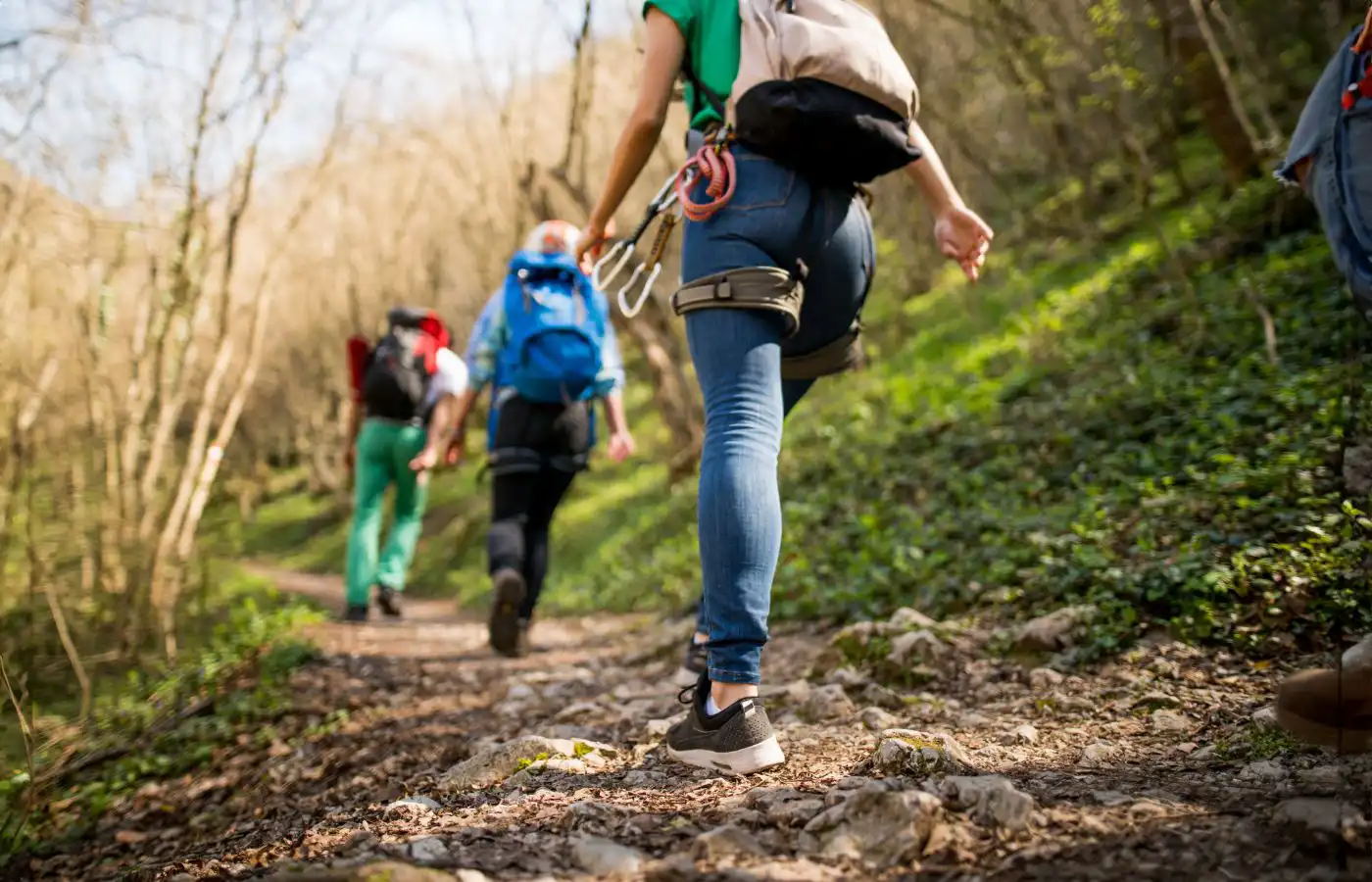 Groupe de randonneurs marchant sur un sentier forestier à Gosselies, Belgique, profitant d'une sortie en plein air dans un environnement naturel.